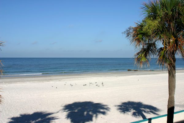 Looking out over a beach on the ocean